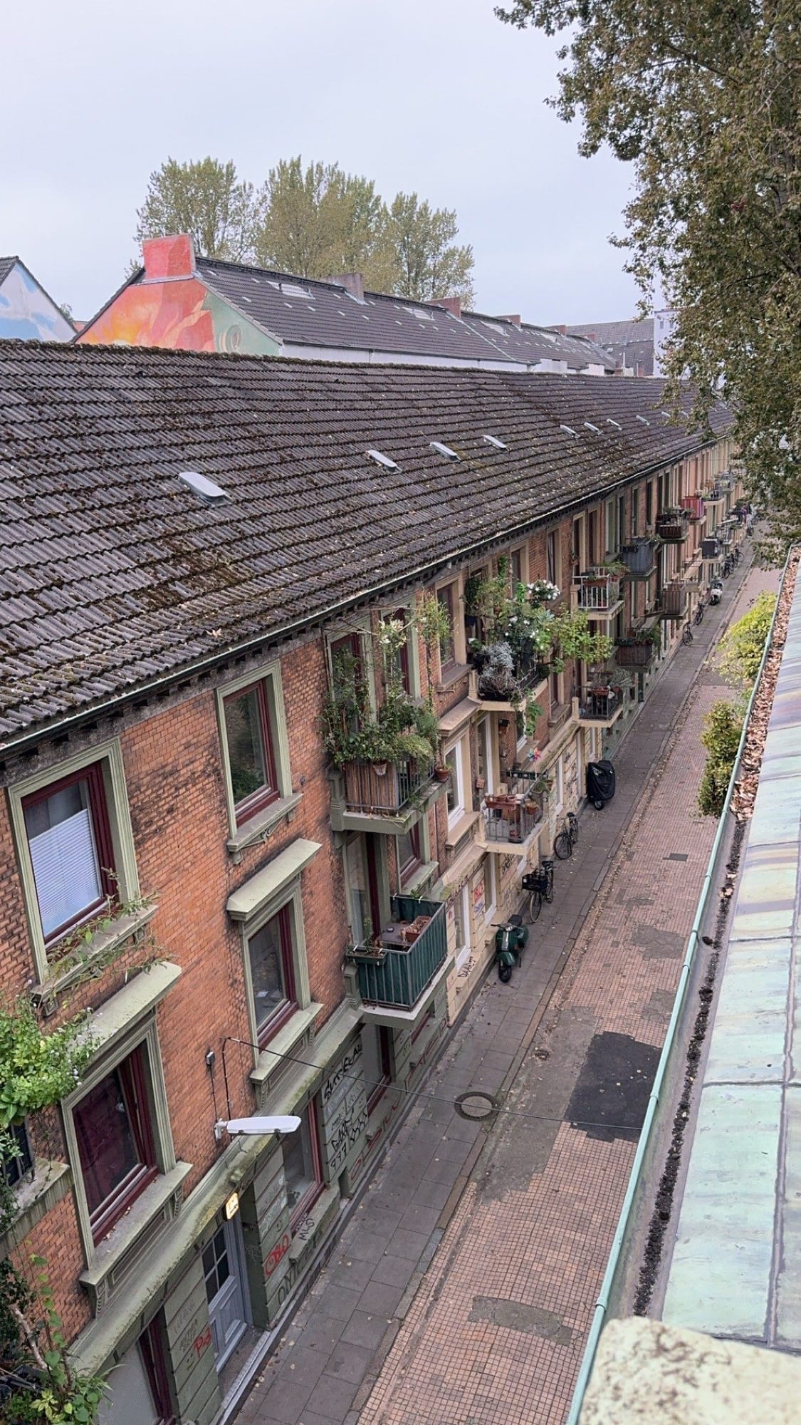 Denkmalgeschützte Gründerzeit-Wohnzeile mit begrünten Balkonen und altem Ziegeldach in Hamburg